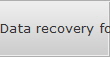 Data recovery for Los Alamos data